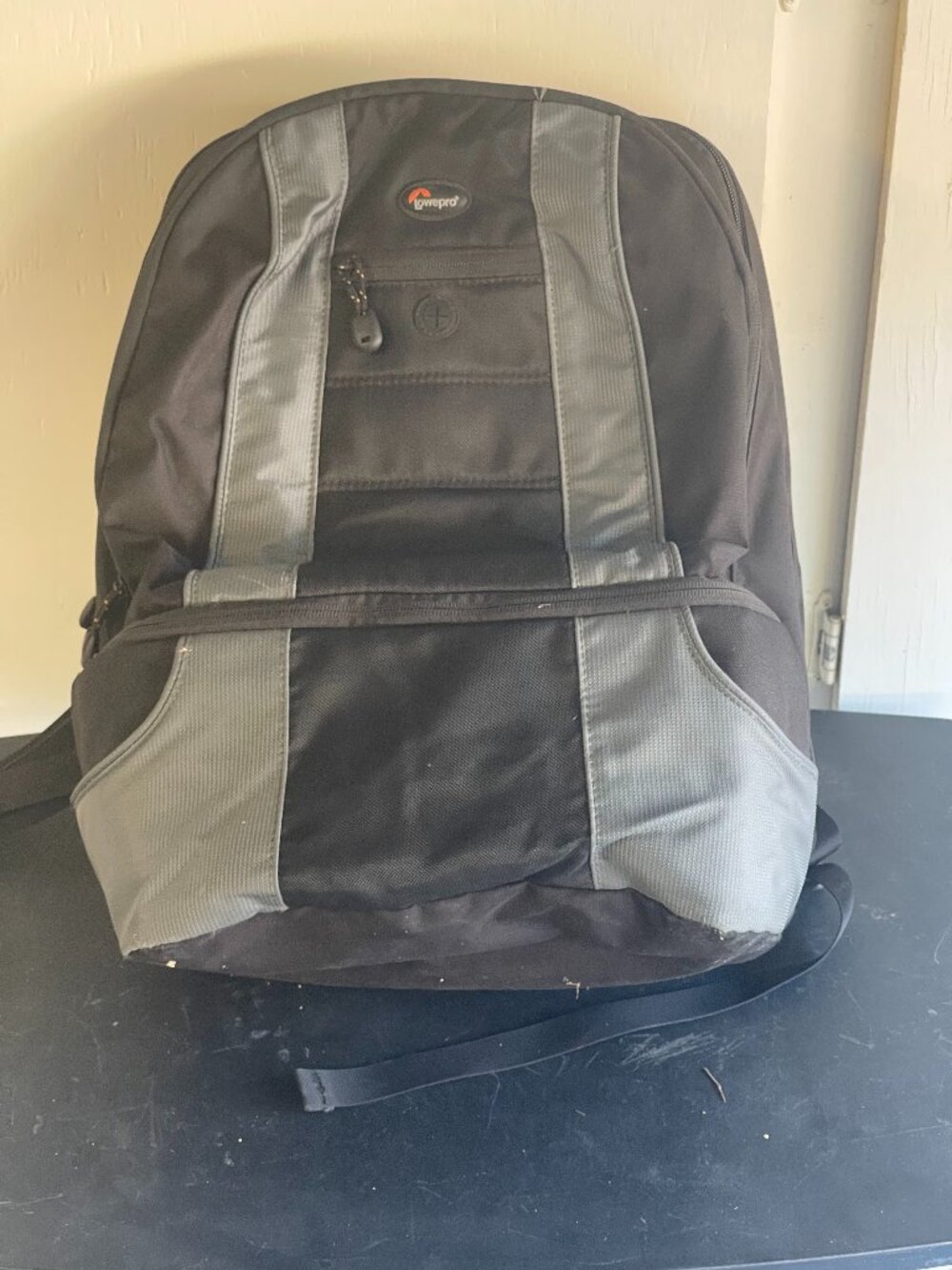 Lowepro CompuDaypack Camera & 17" Laptop Backpack - Sleek Black & Slate Gray